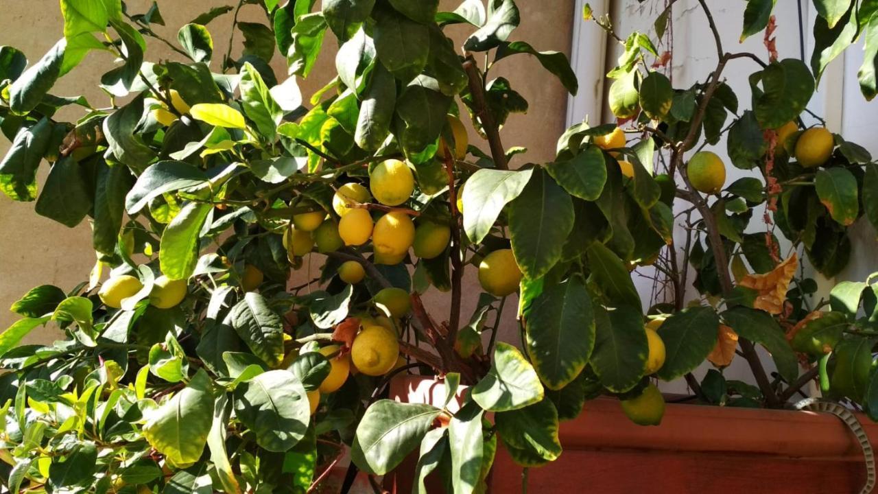Apartmán La Casa Dei Fiori Florencie Exteriér fotografie